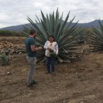 The Magical Mezcal Mystery Tour 3