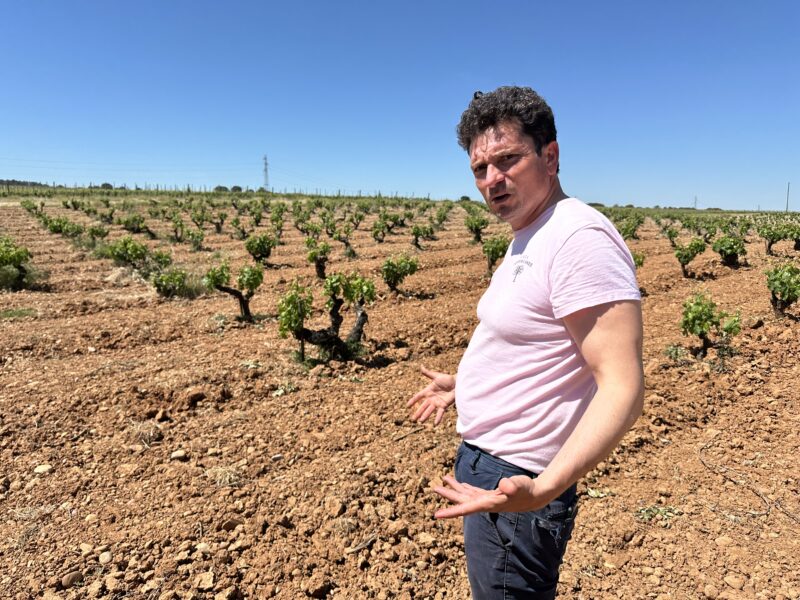Finca Torremilanos