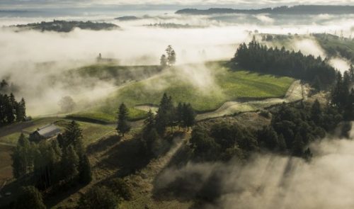 The Origins of Oregon: A Brief History of the Willamette Valley