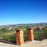 Three Days in the Langhe 15