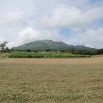 Rhum Agricole: Guadeloupe & Martinique 16
