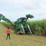 Rhum Agricole: Guadeloupe & Martinique 15
