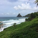 Rhum Agricole: Guadeloupe & Martinique 3