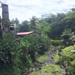 Rhum Agricole: Guadeloupe & Martinique 2