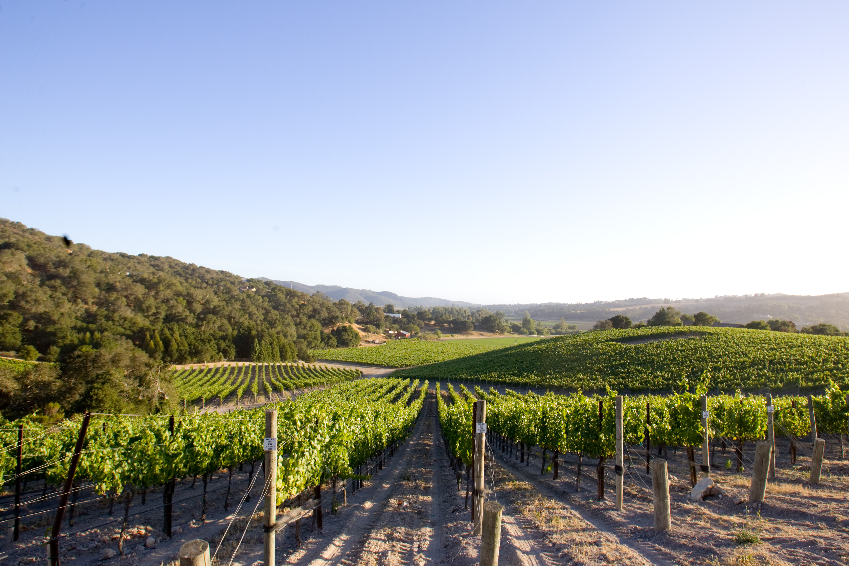 Talley Vineyards: A Rich History in the Arroyo Grande Valley