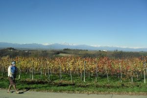 Dolcetto di Dogliani 'Pianezzo', F. Boschis 2