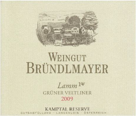 Brndlmayer Ried Kammerner Lamm 1 TW Kamptal DAC Grner Veltliner