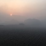 Early morning mist after a night of frost in Chassagne-Montrachet