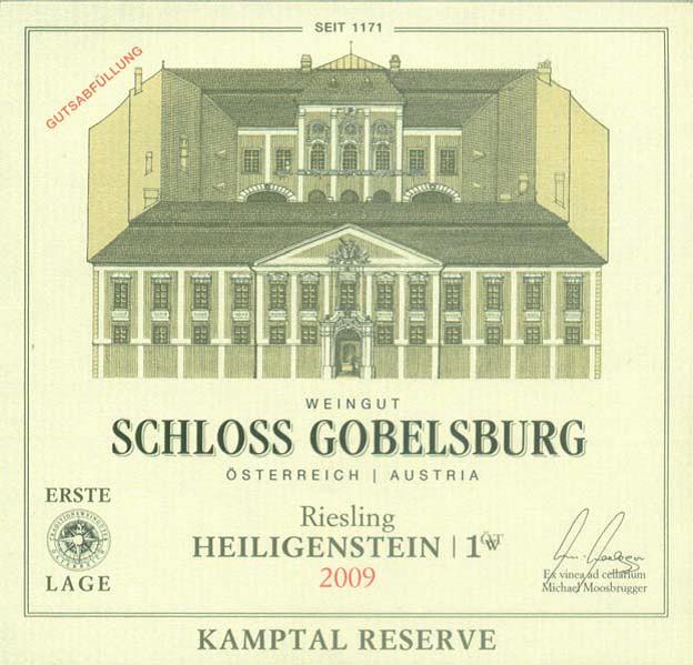 Ried Heiligenstein 1 TW Kamptal DAC Riesling