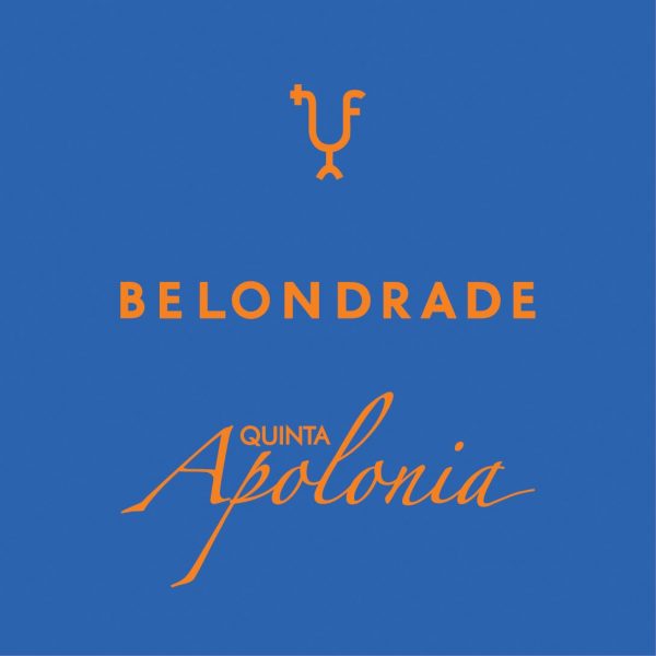 Vino de la Tierra de Castilla y Len Quinta Apolonia Belondrade