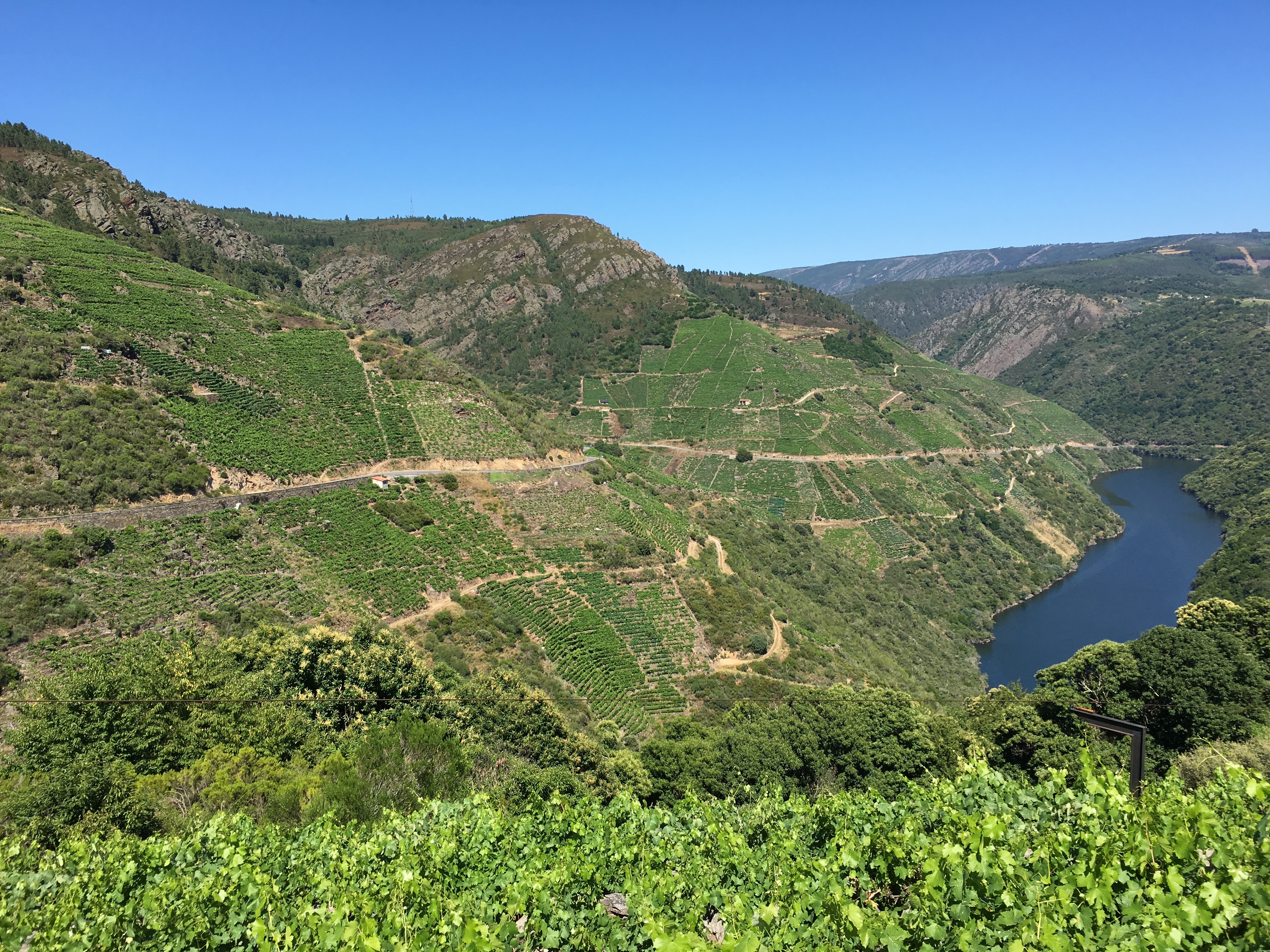 Adegas Guímaro: A Jewel In Spain’s Ribeira Sacra