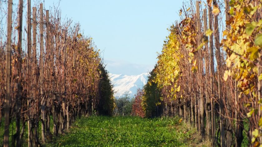Alto Piemonte: A Region on the Rise