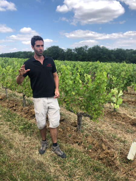 Domaine de la Butte Jacky 038 JP Blot