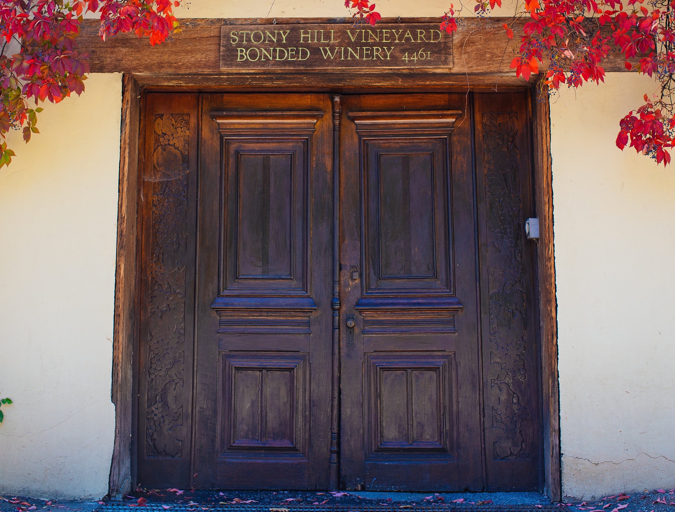 Stony Hill Vineyard: Pioneers of Spring Mountain