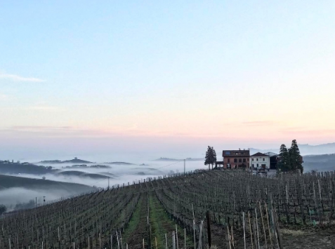 2013 Barolo: A Vintage to Remember