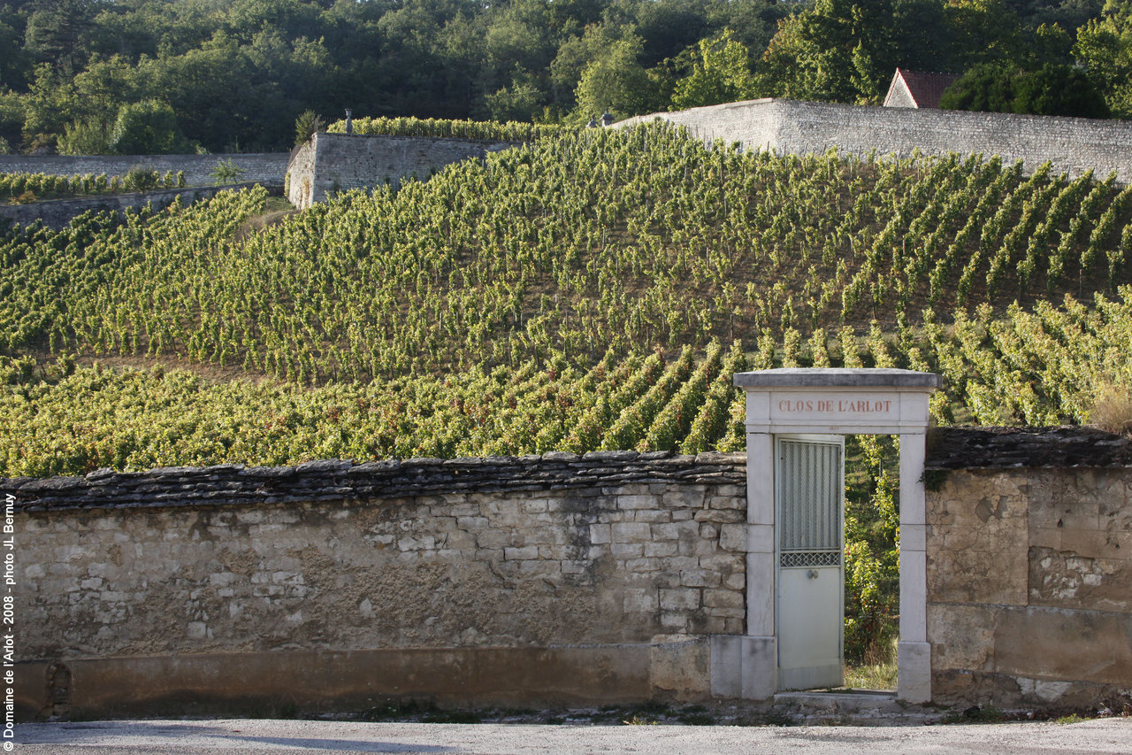 Benchmark Biodynamic Burgundy: Domaine de l’Arlot