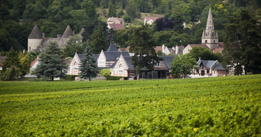 Domaine Bernard Dubois et Fils