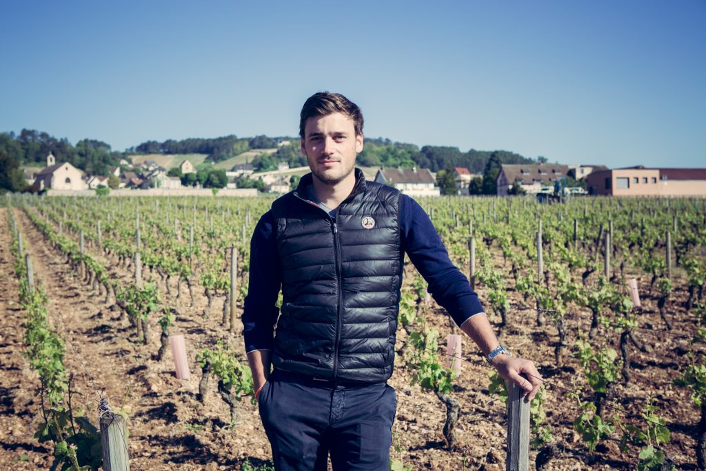 Domaine Yvon Clerget - Skurnik Wines & Spirits