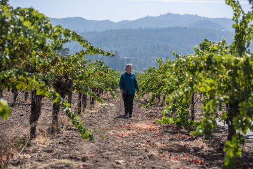 American Winemaker Video Series: Cathy Corison