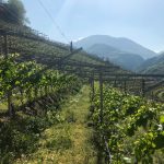 Two Days in the Alto Adige 9