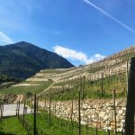 Two Days in the Alto Adige 28