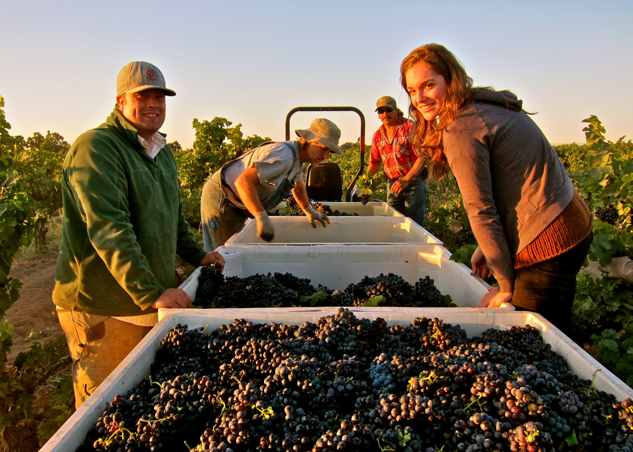 American Winemaker Video Series: Tegan Passalacqua