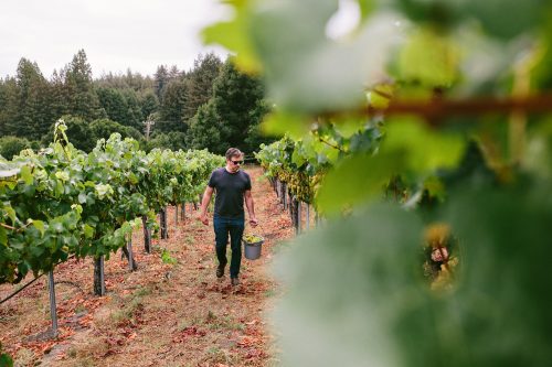 American Winemaker Video Series: John Raytek