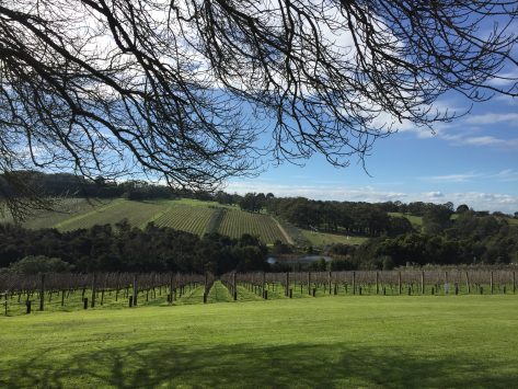 Aussie Spotlight: Moorooduc Estate – Mornington Peninsula, Victoria