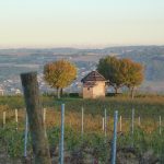 Le Clos with Mont Blanc in the background