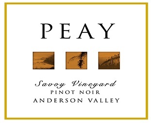 Pinot Noir 'Savoy Vyd'