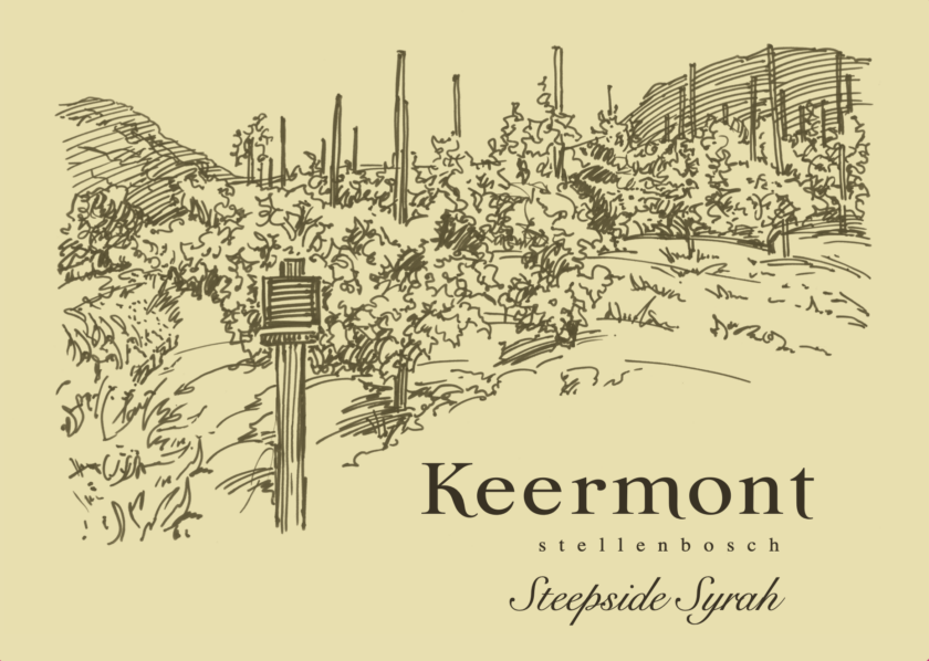 Syrah Steepside