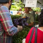 Summer Lovin': Greenmarket Cocktail Tips & Techniques 14