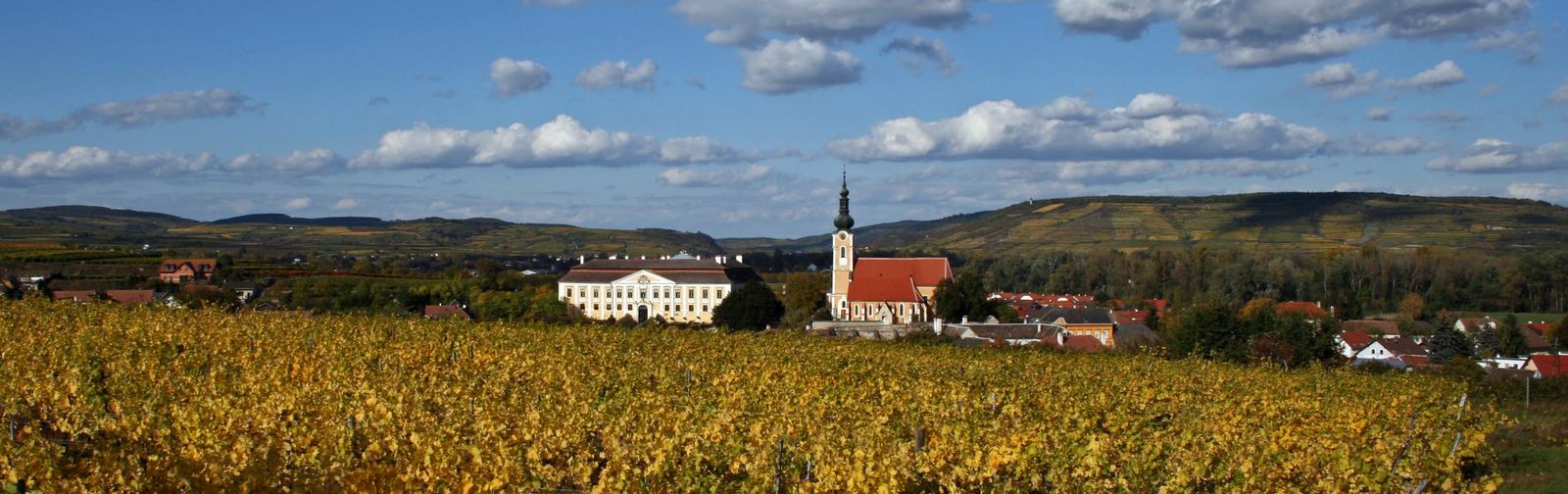 Gobelsburg: Tradition and Terroir in the Kamptal