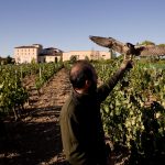 Finca Torremilanos: A Gem Hidden In Plain Sight 22