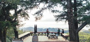 Introducing Mayacamas: 128 Years, Singular & Resilient 2