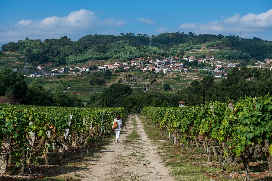 O Ribeiro: an Ode to the Forgotten Bank