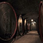 Tenuta Santa Maria di Gaetano Bertani: A Key Estate in Italian History, Culture, and Wine 10