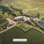 Tenuta Santa Maria di Gaetano Bertani: A Key Estate in Italian History, Culture, and Wine 1