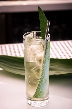 Bamboo Tonic