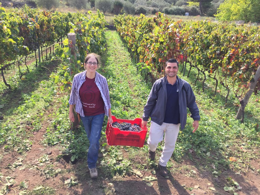 Famiglia Statella on Mount Etna: “A Star is Born”! 1