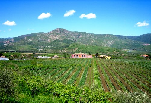 Terre Nere’s 2016 Releases: Mountain Majesty