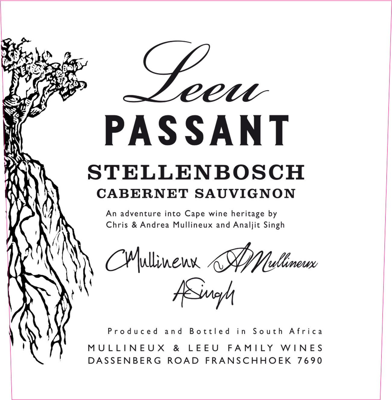 Cabernet Sauvignon 'Stellenbosch', Leeu Passant - Skurnik Wines