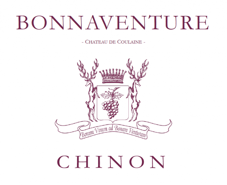 Chinon Bonnaventure Chateau de Coulaine