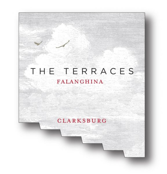 Falanghina Clarksburg The Terraces