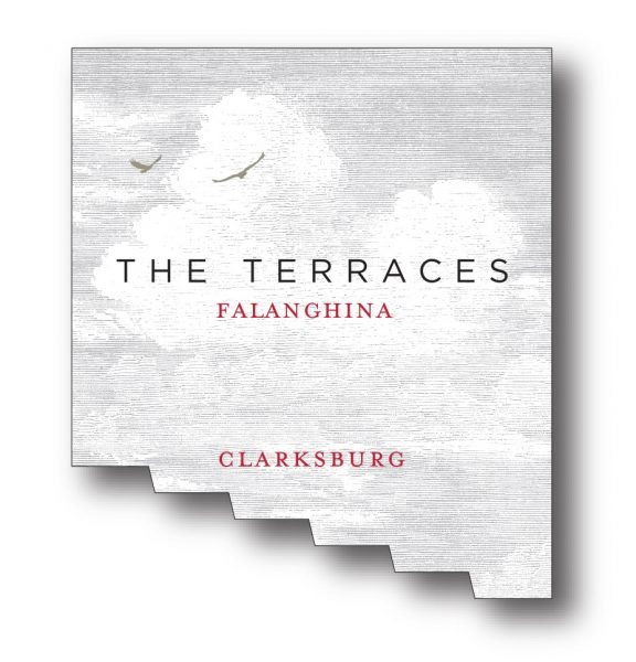 Falanghina Clarksburg