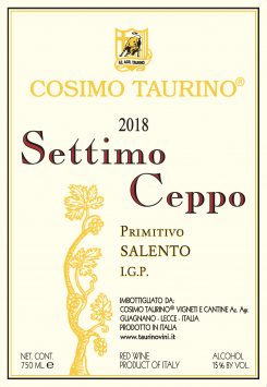 Primitivo 'Settimo Ceppo'