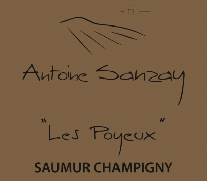 Saumur Champigny 