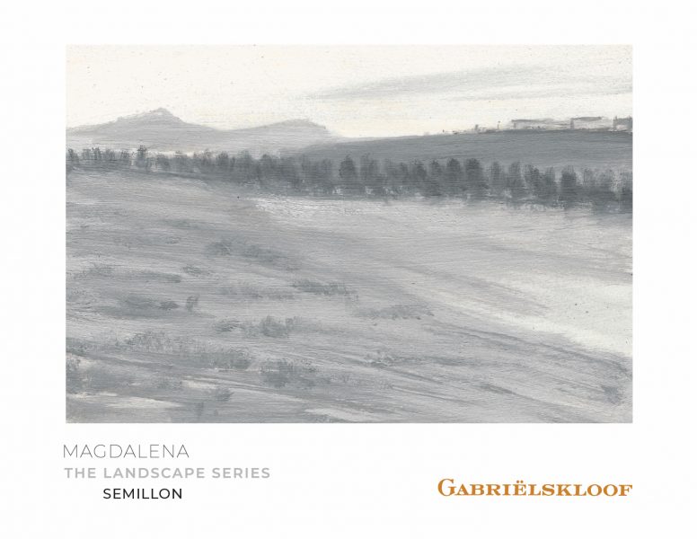 Semillon 'Magdalena', Gabrielskloof