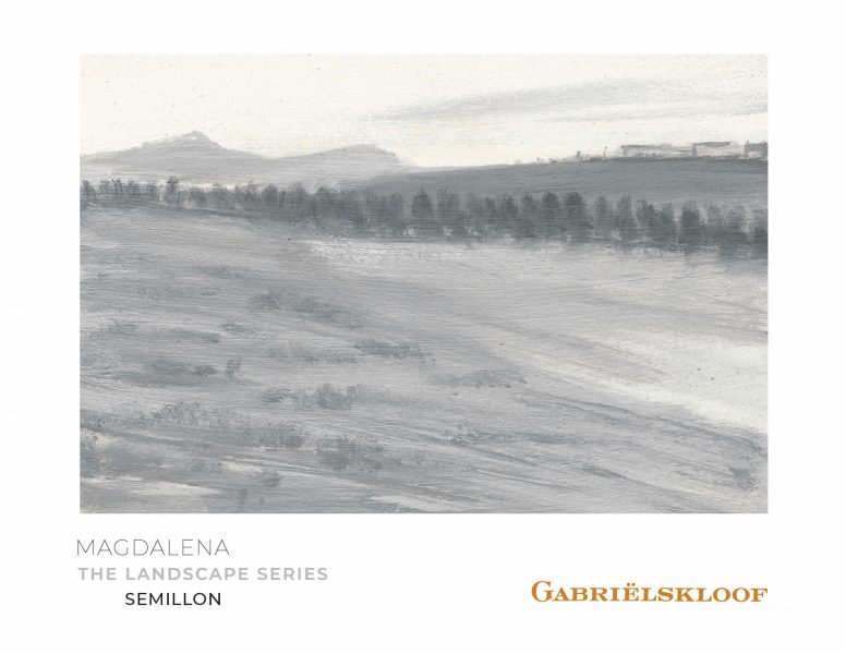 Semillon Magdalena Gabrielskloof