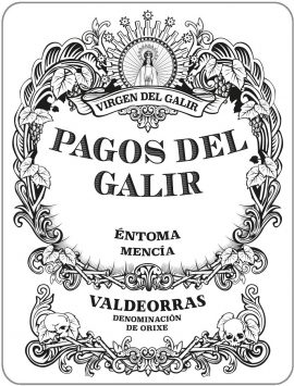 Valdeorras Tinto 'Pagos del Galir', Virgen del Galir